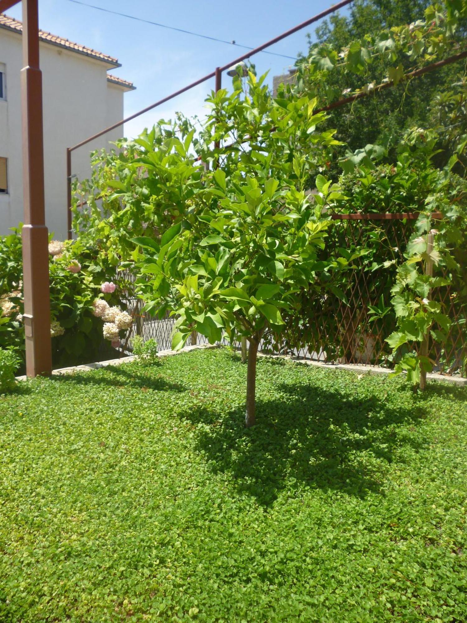 סטוברץ Villa Barbara מראה חיצוני תמונה